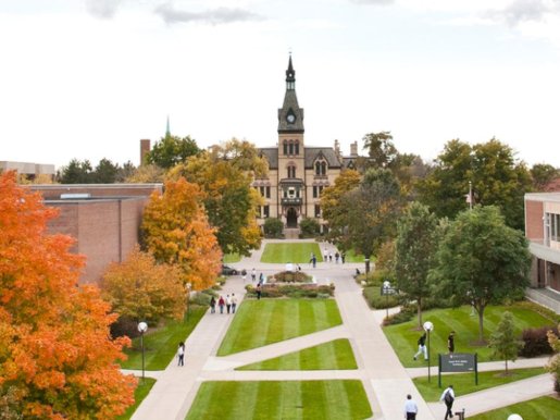 Hamline University