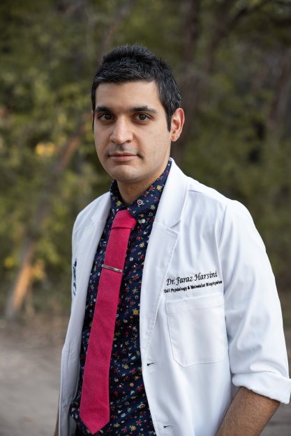 Faraz Harsini