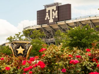 Texas A&M university campus