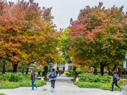 University of Chicago