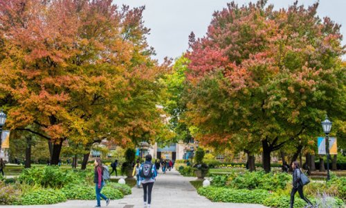 University of Chicago